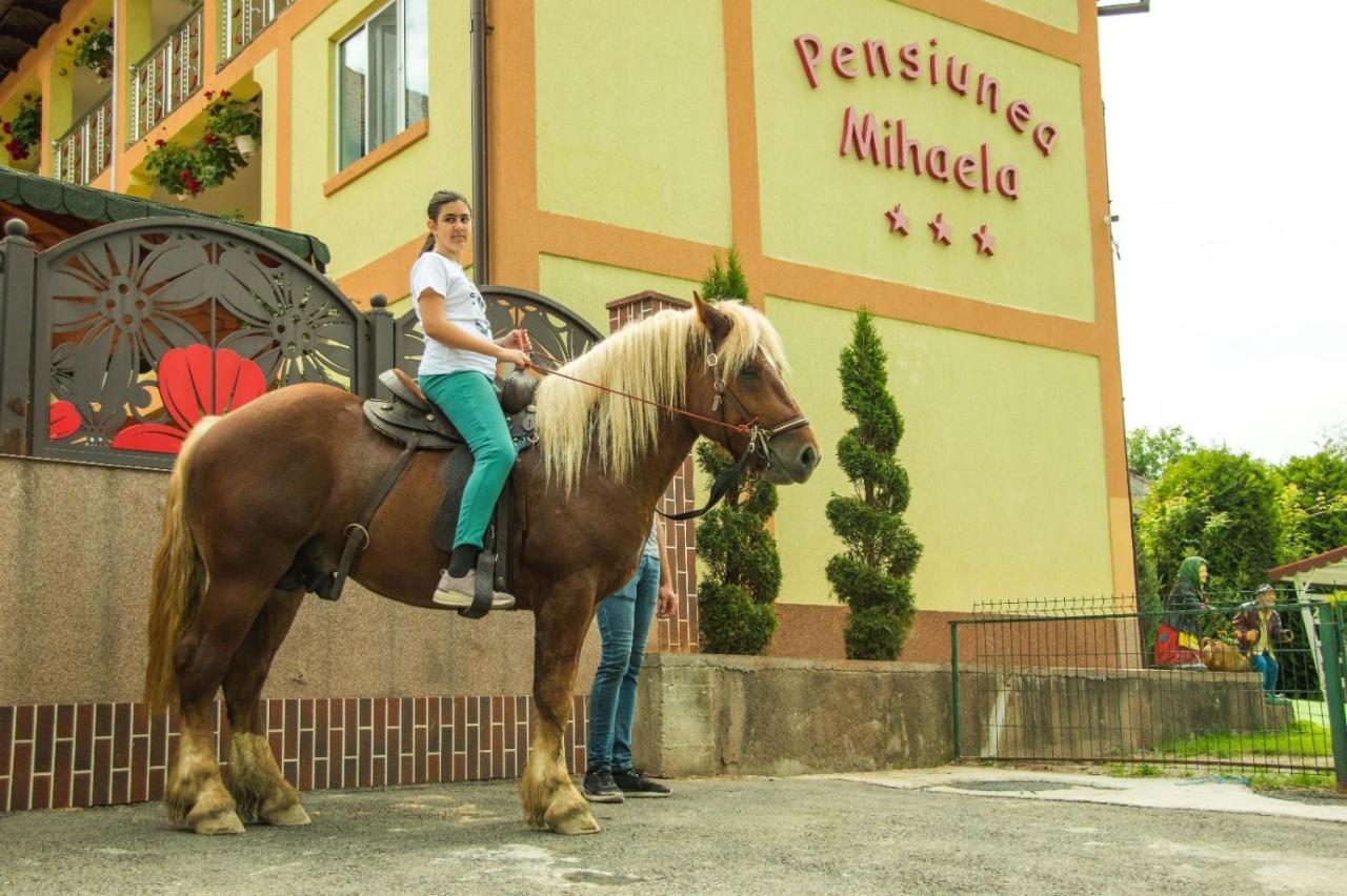 Hotel Pensiunea Mihaela-Transalpina Novaci-Străini Exteriér fotografie